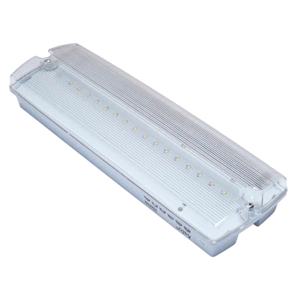 Armadura de Emergencia LED 3W IP65 ASAEGM