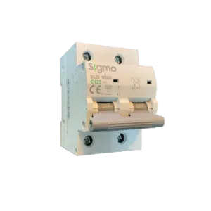 Disjuntor 2P 125A-C 10kA