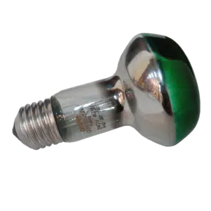 Lâmpada Refletora 63mm Verde 40W E27