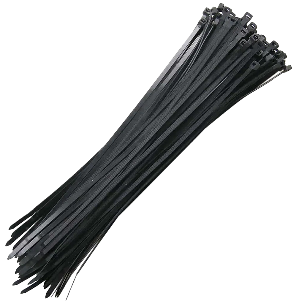 Abraçadeira de Fivela Preta 100X2.5