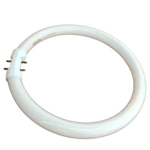 Lâmpada Fluorescente Circular  22W T5 865  2GX13