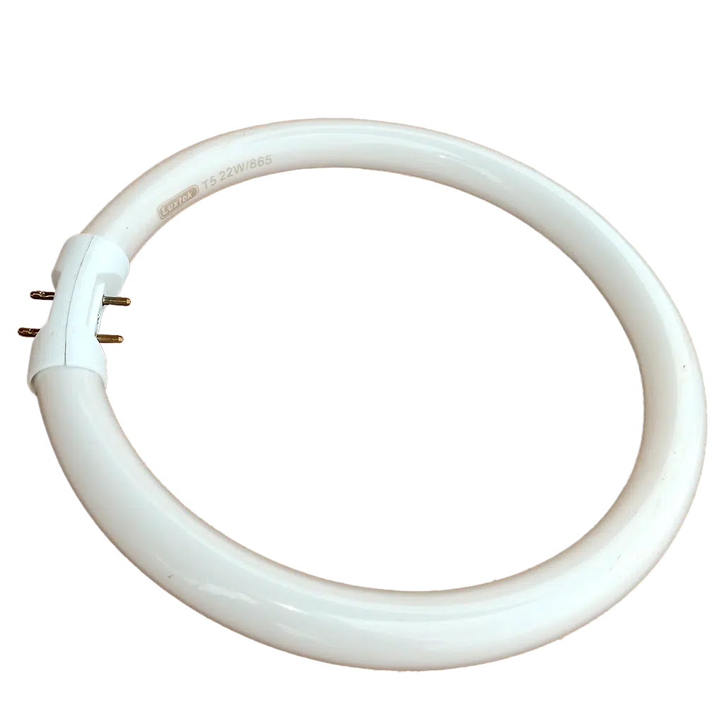 Lâmpada Fluorescente Circular  22W T5 865  2GX13