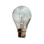 Lâmpada De Baixa Tensão 40W 24V  CLARA B22