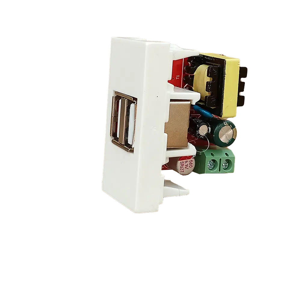 Carregador USB 2 Portos 1 Modulo  45X22,5 BR 9992062