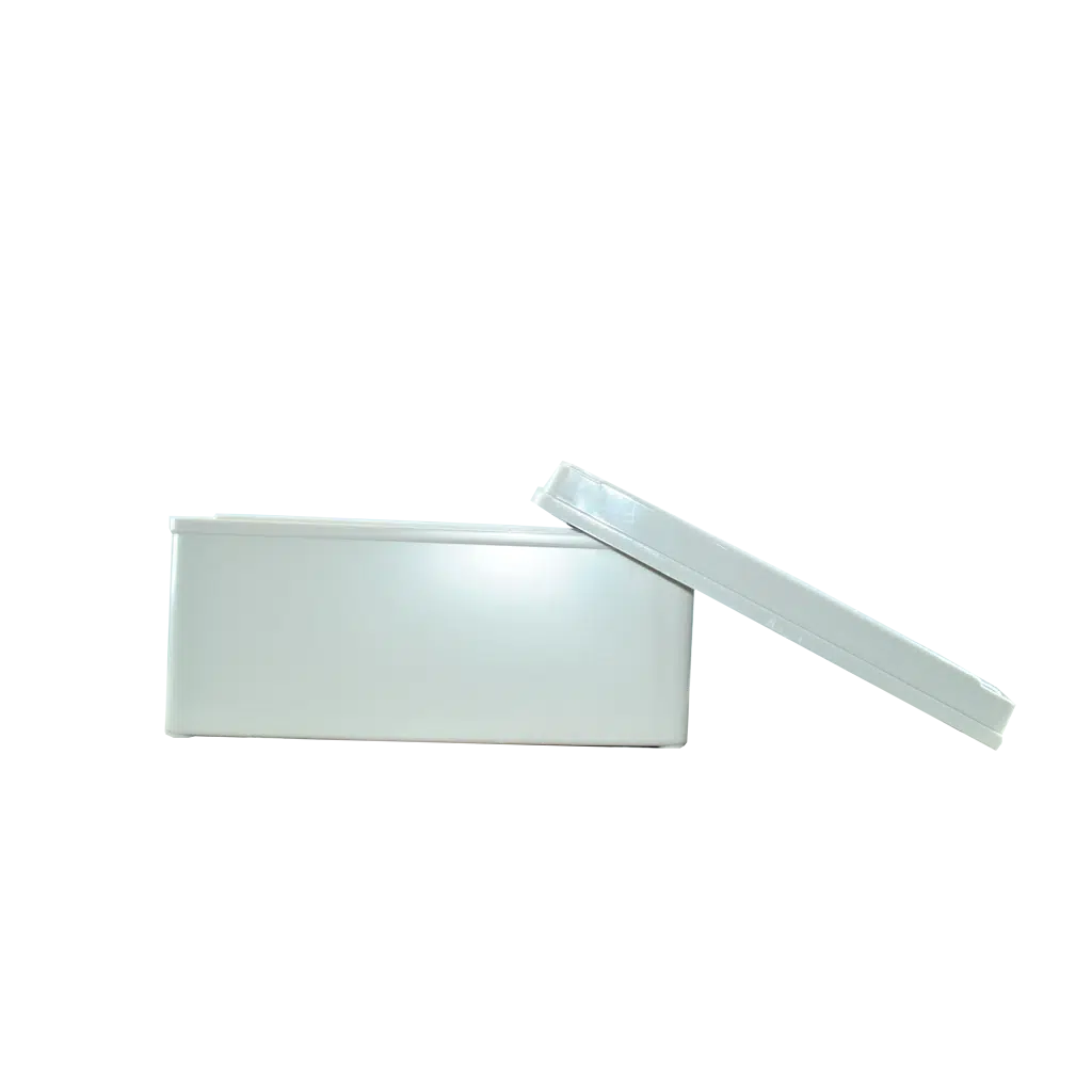 Caixa Derivativa Estanque IP67 LWHI-200X200X130 - Image 3