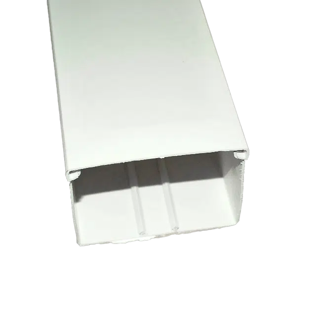 Calha Técnica 60X60 BR