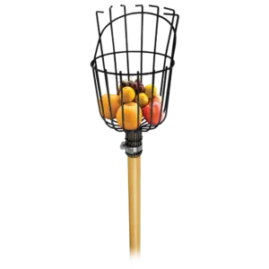 Apanha Frutos Com Cabo Flux