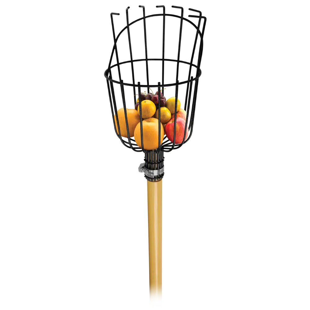 Apanha Frutos Com Cabo Flux